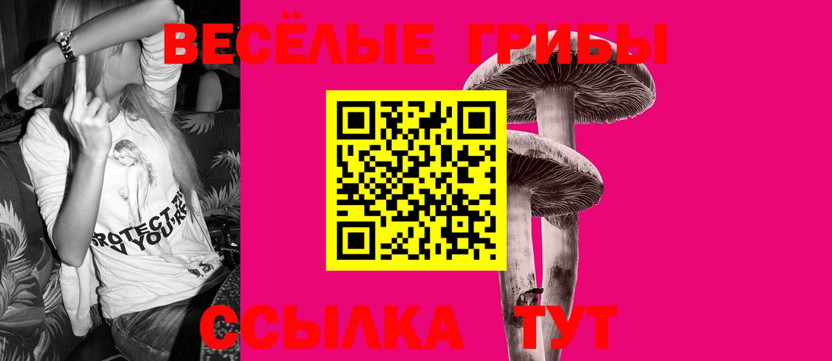 Нижнеудинск  наркошоп  Вход с VPN  Псилоцибиновые грибы мицелий 